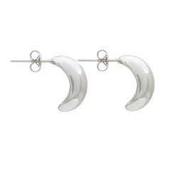 Solid Sterling Silver earrings